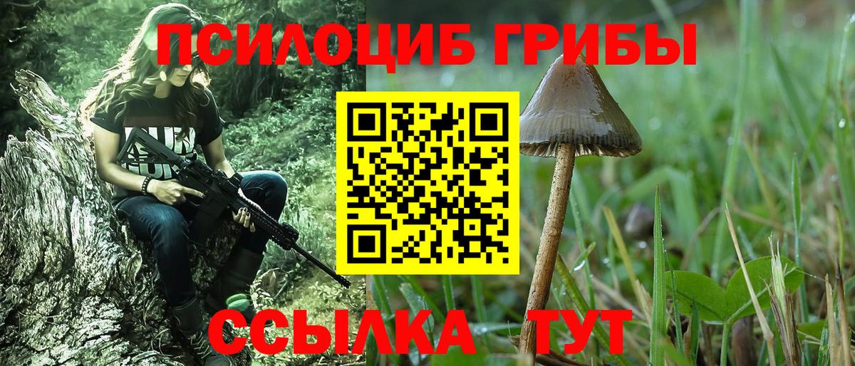 Мирный  где купить наркоту  Вход с VPN  Галлюциногенные грибы GOLDEN TEACHER 