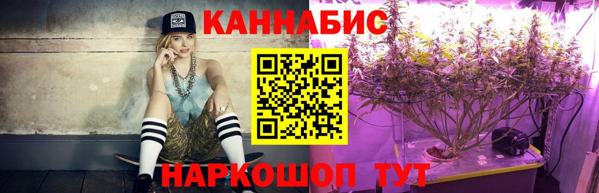 Бошки марихуана сатива Мирный